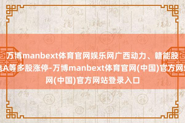 万博manbext体育官网娱乐网广西动力、赣能股份、深南电A等多股涨停-万博manbext体育官网(