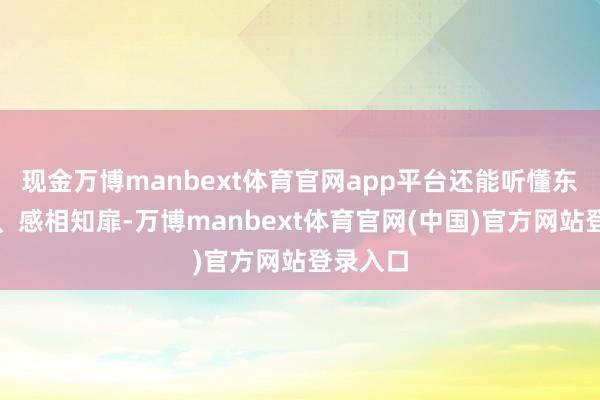 现金万博manbext体育官网app平台还能听懂东谈主话、感相知扉-万博manbext体育官网(中国)官方网站登录入口