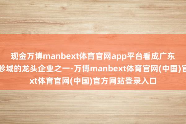 现金万博manbext体育官网app平台看成广东省垃圾舍弃发电畛域的龙头企业之一-万博manbext