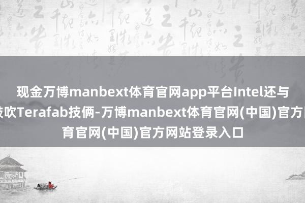 现金万博manbext体育官网app平台Intel还与马斯克和谐鼓吹Terafab技俩-万博manb