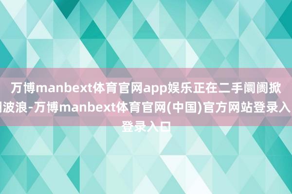 万博manbext体育官网app娱乐正在二手阛阓掀翻波浪-万博manbext体育官网(中国)官方网站
