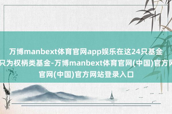 万博manbext体育官网app娱乐在这24只基金产物中有12只为权柄类基金-万博manbext体育官网(中国)官方网站登录入口