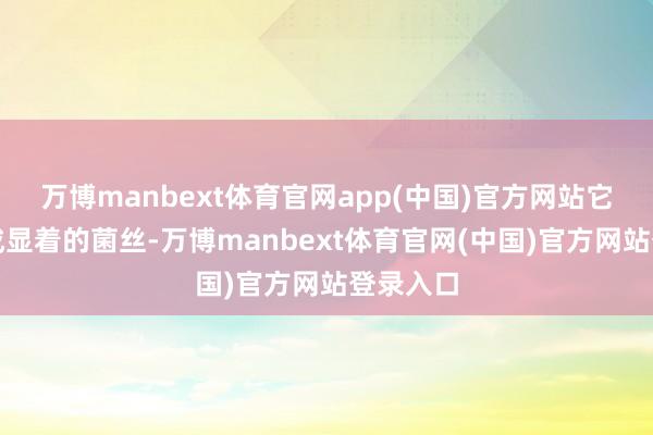 万博manbext体育官网app(中国)官方网站它们不形成显着的菌丝-万博manbext体育官网(中国)官方网站登录入口