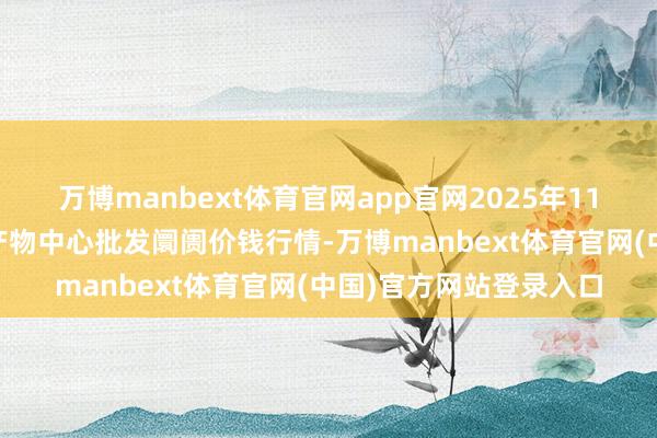 万博manbext体育官网app官网2025年11月14日河南商丘市农产物中心批发阛阓价钱行情-万博manbext体育官网(中国)官方网站登录入口