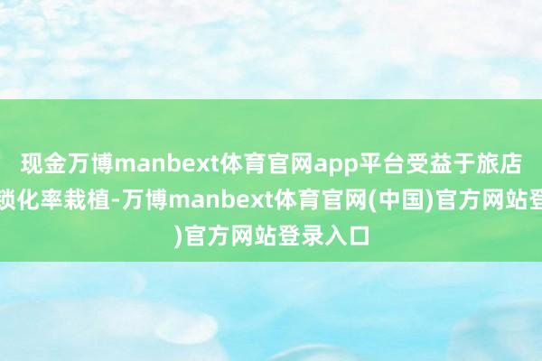 现金万博manbext体育官网app平台受益于旅店行业连锁化率栽植-万博manbext体育官网(中国
