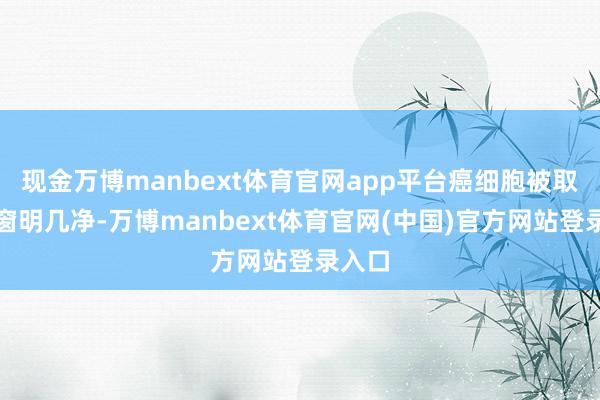 现金万博manbext体育官网app平台癌细胞被取销得窗明几净-万博manbext体育官网(中国)官